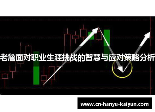 老詹面对职业生涯挑战的智慧与应对策略分析 老詹面对职业生涯挑战的智慧与应对策略分析