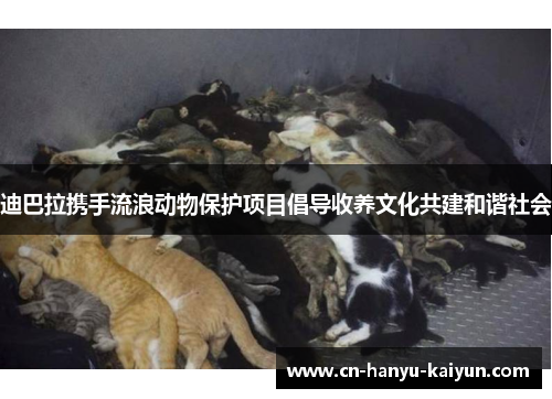 迪巴拉携手流浪动物保护项目倡导收养文化共建和谐社会